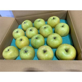 Fresh Apples