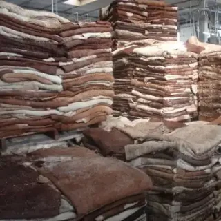 Cow Skin