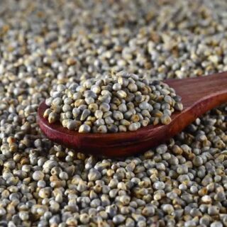 High Quality Pearl Millets