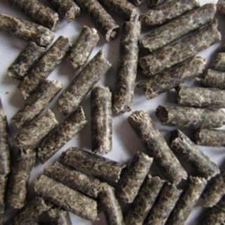 Beet Pulp (Pelleted / Shredded)